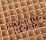 Wooden letter blocks spelling 'LEADERSHIP' on a grid background, emphasizing the leadership concept.
